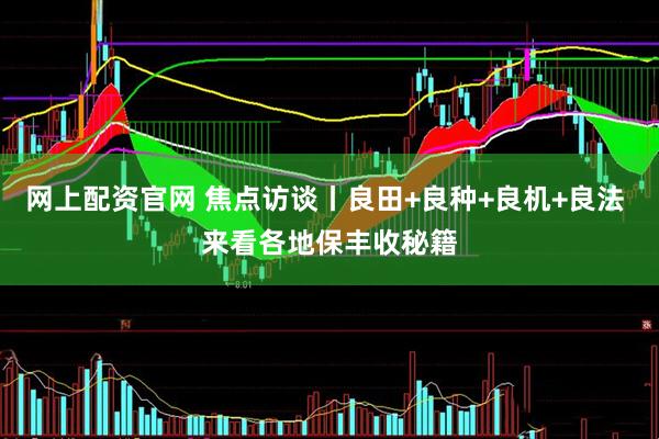 网上配资官网 焦点访谈丨良田+良种+良机+良法 来看各地保丰收秘籍