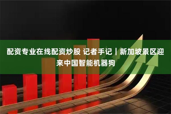 配资专业在线配资炒股 记者手记｜新加坡景区迎来中国智能机器狗