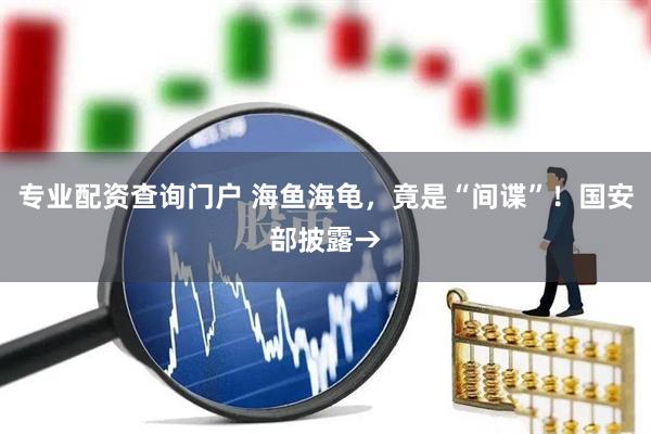 专业配资查询门户 海鱼海龟，竟是“间谍”！国安部披露→